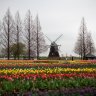 watermark_hd