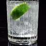 gin&tonicorelse