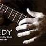 theremedyband