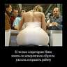 OneDog