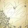 Katwaa