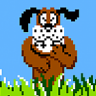 DuckHuntD0g