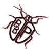 Brainbug