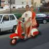 vespaboy