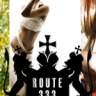 route333