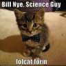 biLLnYe