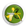 BananaIguana