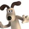 steve217