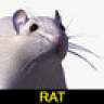 Operation-Rat