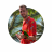 wvanbelle