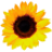 Pennnyye