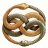 The_Auryn