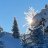 LetItSnow