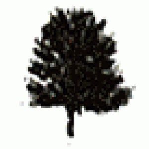 tree-B4.gif