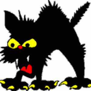 angry_cat.gif