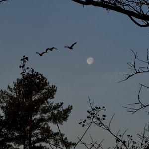 IMG_3119.jpg