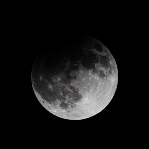 IMG_7267.png