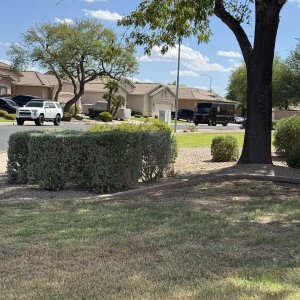 IMG_0459.jpeg