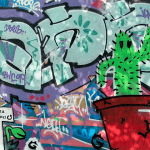 IMG_0001.gif