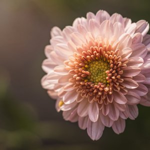DP_October_03_2019.jpg
