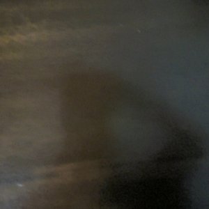 IMG_2229.jpeg