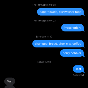 2024-09-26 13.08.53.png