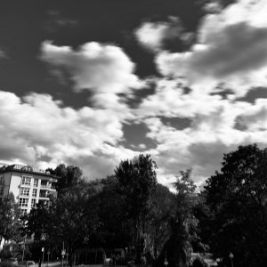 IMG_0299.jpeg