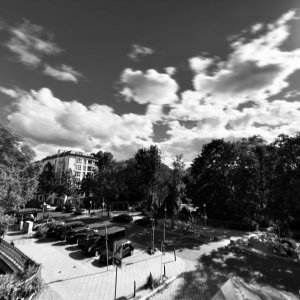 IMG_0298.jpeg