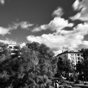 IMG_0300.jpeg