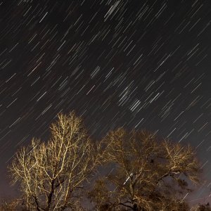 IMG_6596.jpeg