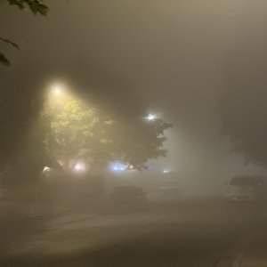 IMG_2613.jpeg