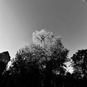 IMG_0596.jpeg