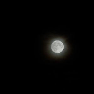 IMG_0660.jpeg