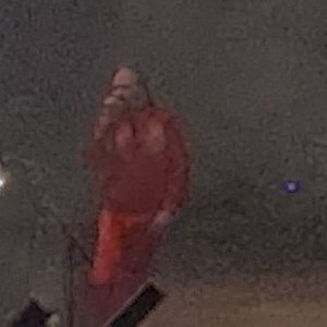 IMG_2835.jpeg