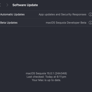 Screenshot 2024-10-21 at 6.12.08 pm.png