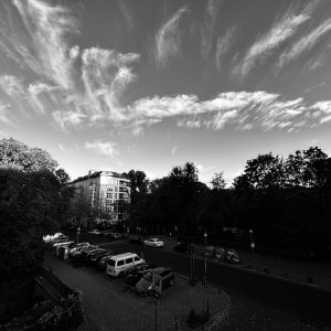 IMG_0773.jpeg
