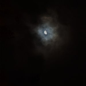 IMG_0783.jpeg