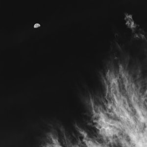 IMG_8604.jpeg