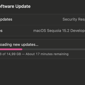 Screen Shot 2024-10-24 at 02.45.58.png