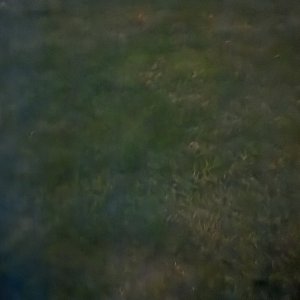 931B8B37-F636-482F-927A-20AAFEAC4E50.jpeg