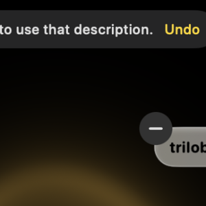 Screenshot 2024-10-26 at 4.05.42 PM.png