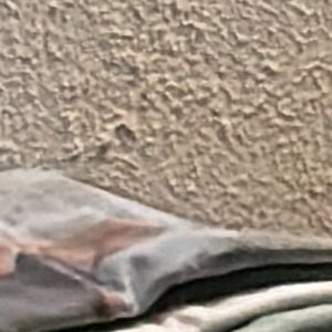 IMG_0241.png