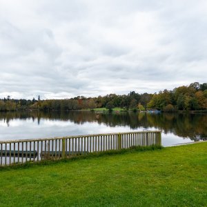 IMG_7325.JPG