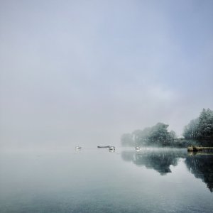 IMG_3498.jpeg