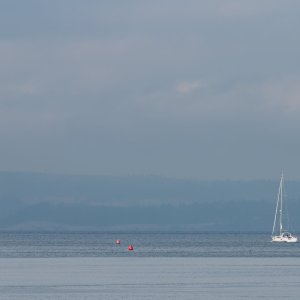 IMG_1858.jpg