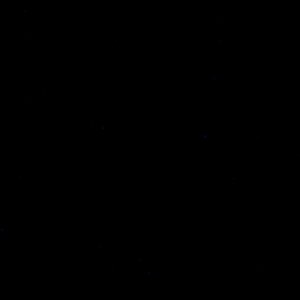 IMG_0005.jpeg
