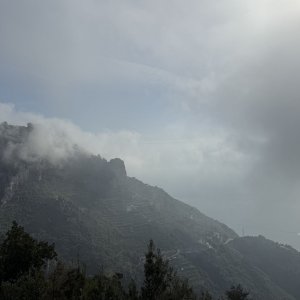 IMG_6309.jpeg