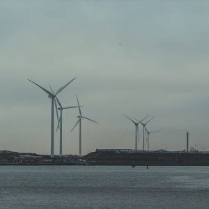 IMG_0336.jpeg