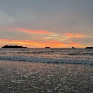 IMG_7332.jpeg
