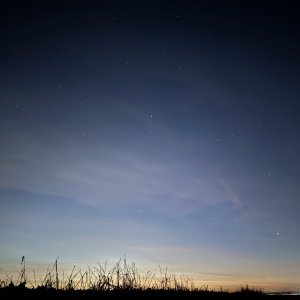 IMG_9278.jpeg